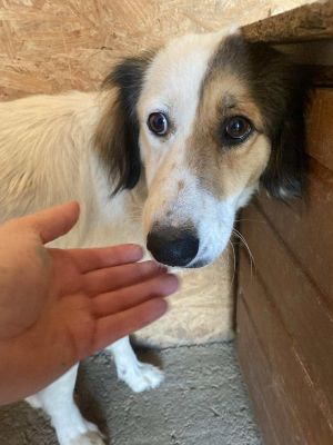 553460359 765228759845929 3338724624923802455 n