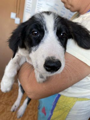 553470565 2819382344918520 5989385946344871040 n