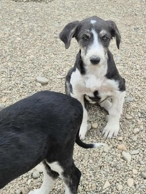 553489765 1298074508250733 6558042595063656508 n