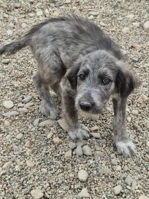 553489765 1529805435038126 2309301910966248776 n