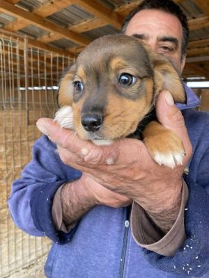 553526616 1848093192767137 1325043762542746879 n