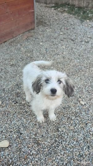 553540923 1496971871553334 2754916020381846934 n