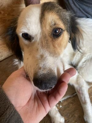 553545417 1121109083536316 1370133578368100028 n