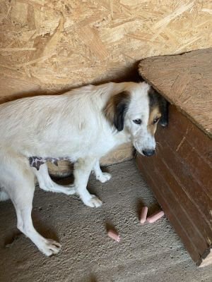 553564679 1563678131710870 209742587723451095 n