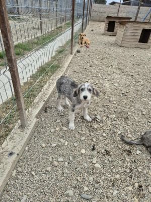 553583977 829906566218319 1011141761733437639 n