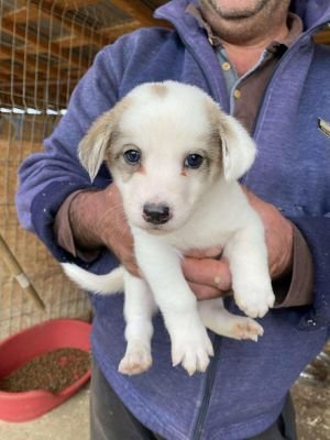 553591033 830315719419665 2158655546482459902 n