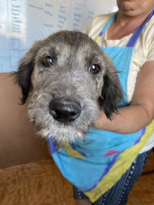 553619745 24921615500798427 2122557526406766600 n