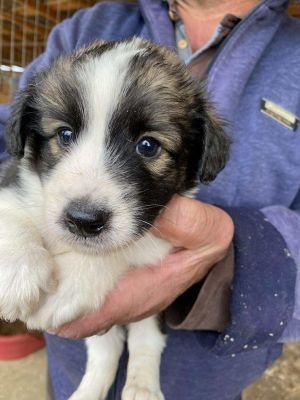 553626133 1367394631565029 785292953164833949 n