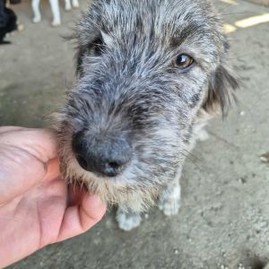 553633812 804550185758017 8476184252928353632 n