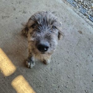 553645737 1413678660379942 1752300158939386083 n