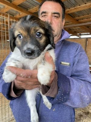 553649233 806017875715057 4810989398473763099 n