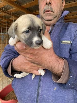 553678166 822972770178774 2573843658835489680 n