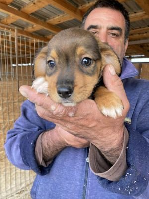 553689678 1110745871183375 3728610483855813048 n