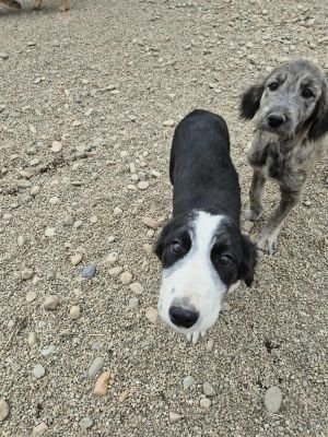 553705590 1129452742113359 5603688592605793728 n