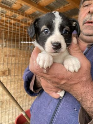 553705590 1348590003367104 4361941248259097981 n