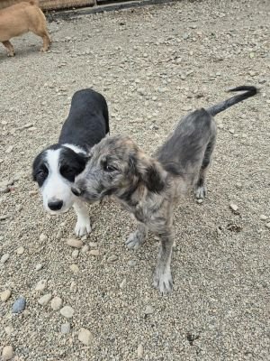 553719661 806849918484578 1840175365981819107 n