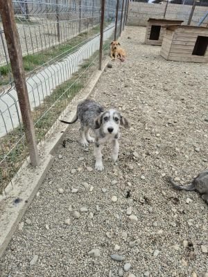 553729376 699743826521096 704030078411471486 n