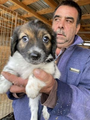 553769979 1796584107883691 987883224392392830 n