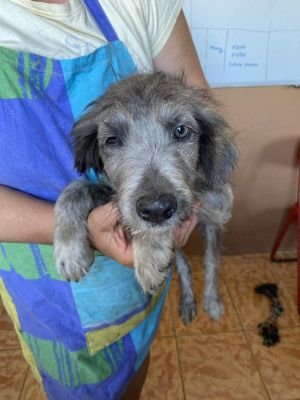 553772871 788248763976292 6268009381404153996 n