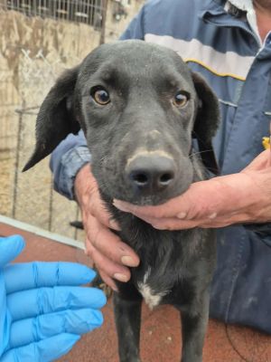 553796473 1389796406076583 4433340022631922842 n