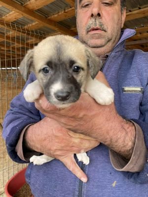 553800183 1093899982892934 3110918924685571642 n