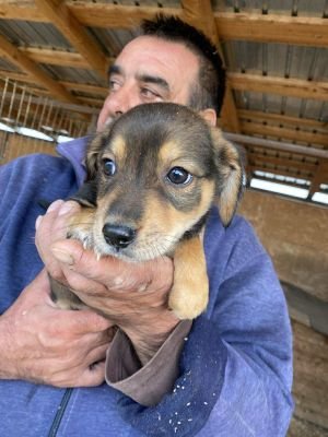 553836894 1870380867192594 2429321952349950910 n