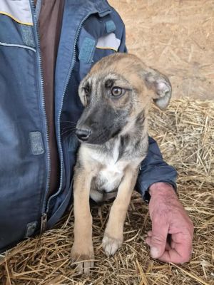 553846793 1138176895168315 7649441985583432679 n