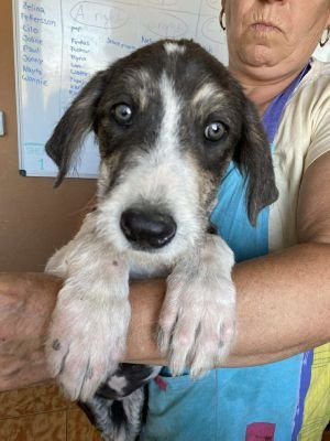 553869236 1848107799158129 3034733946322396996 n