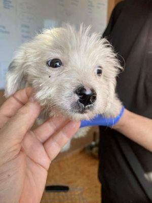 553887272 24719351291038798 6742314311190709140 n