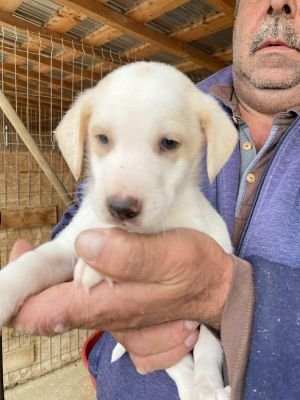 554111910 1436802144090214 1276529020221736012 n