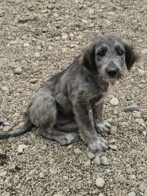 554188988 3004491653068631 6619696320249518005 n