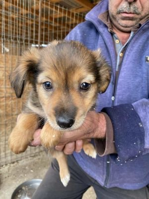 554196458 796431249759913 2032932462818006631 n