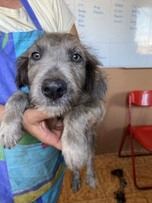 554203570 743164275406610 6977048462224608068 n