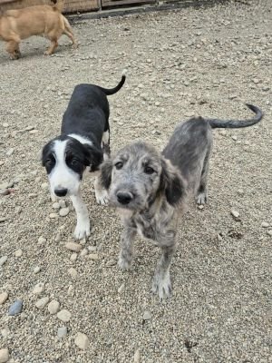 554207934 1119632337031413 321956162778597277 n