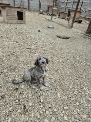 554222680 25691256347129110 5620777451116727045 n