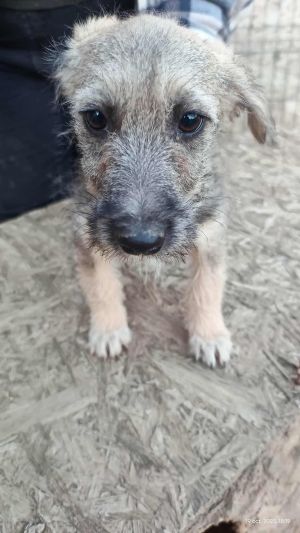 554233394 1524577708737640 3774716430952571556 n