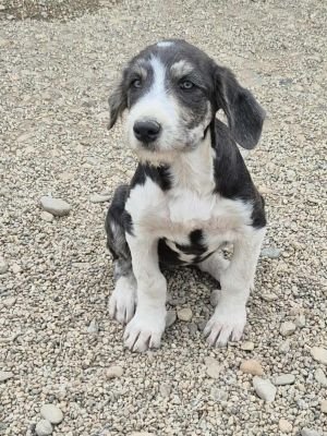 554318107 825670950023150 7270657691285105845 n