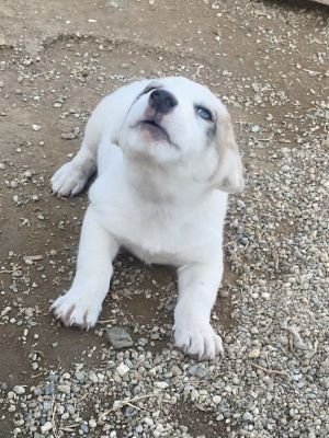 554385425 1099008142077603 8621810762273061458 n