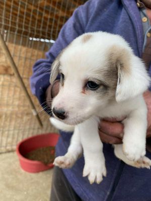 554539643 804413871973871 8265647964855310254 n