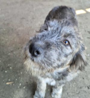 554669037 2715562852169410 331659319035321136 n