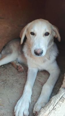 554689279 1106429588323117 4486824433392735945 n