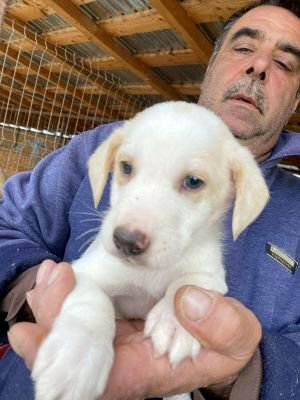 554747090 1165711418800232 3795561003267810439 n