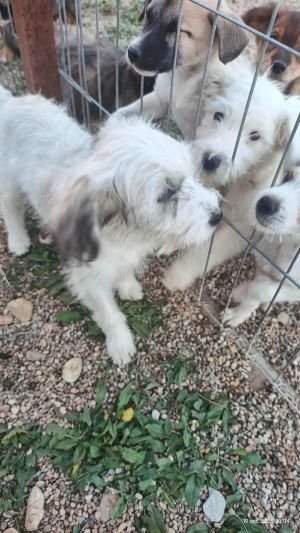 554773015 1192930596034781 1120671085297235266 n