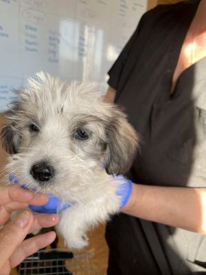 554801448 24719310207709573 4515450289036051997 n