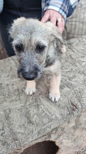 554896597 25451823687748008 8324357960401587596 n