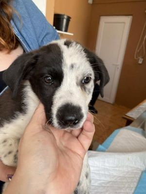 554921561 24719529427687651 8582602053208534636 n