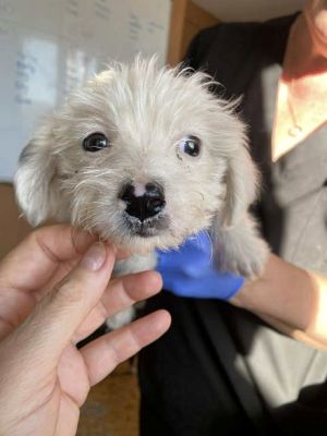 554951853 24719351097705484 6927828129358801200 n