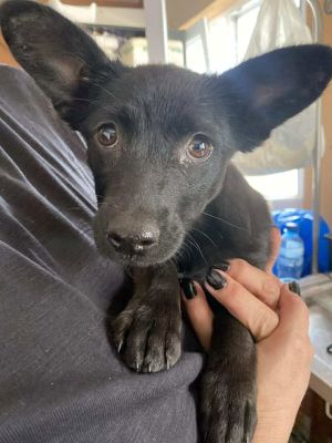 555034456 24719397714367489 30440556741083981 n