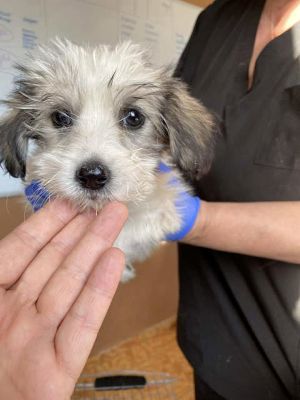 555047598 24719309934376267 466561294498216442 n