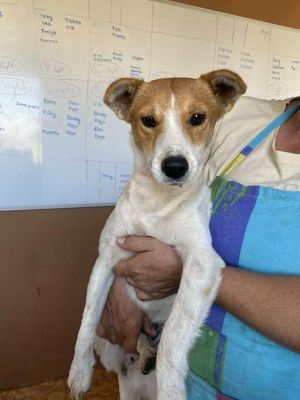 555069680 24721062177534376 8034990330618605293 n